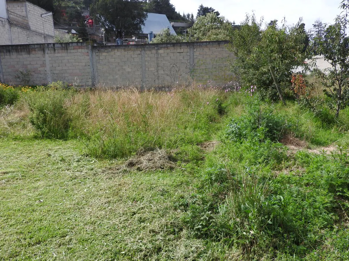 Terreno Spot2