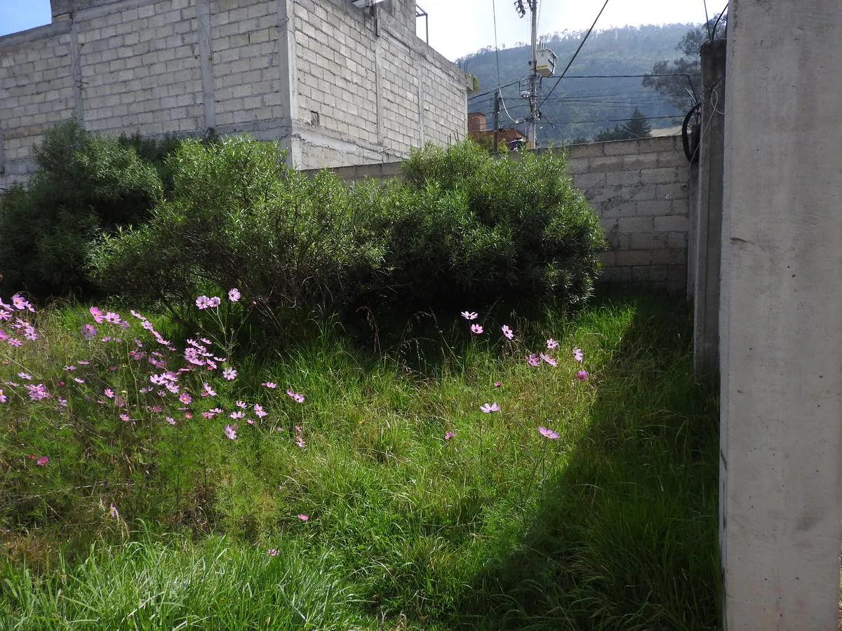 Terreno Spot2