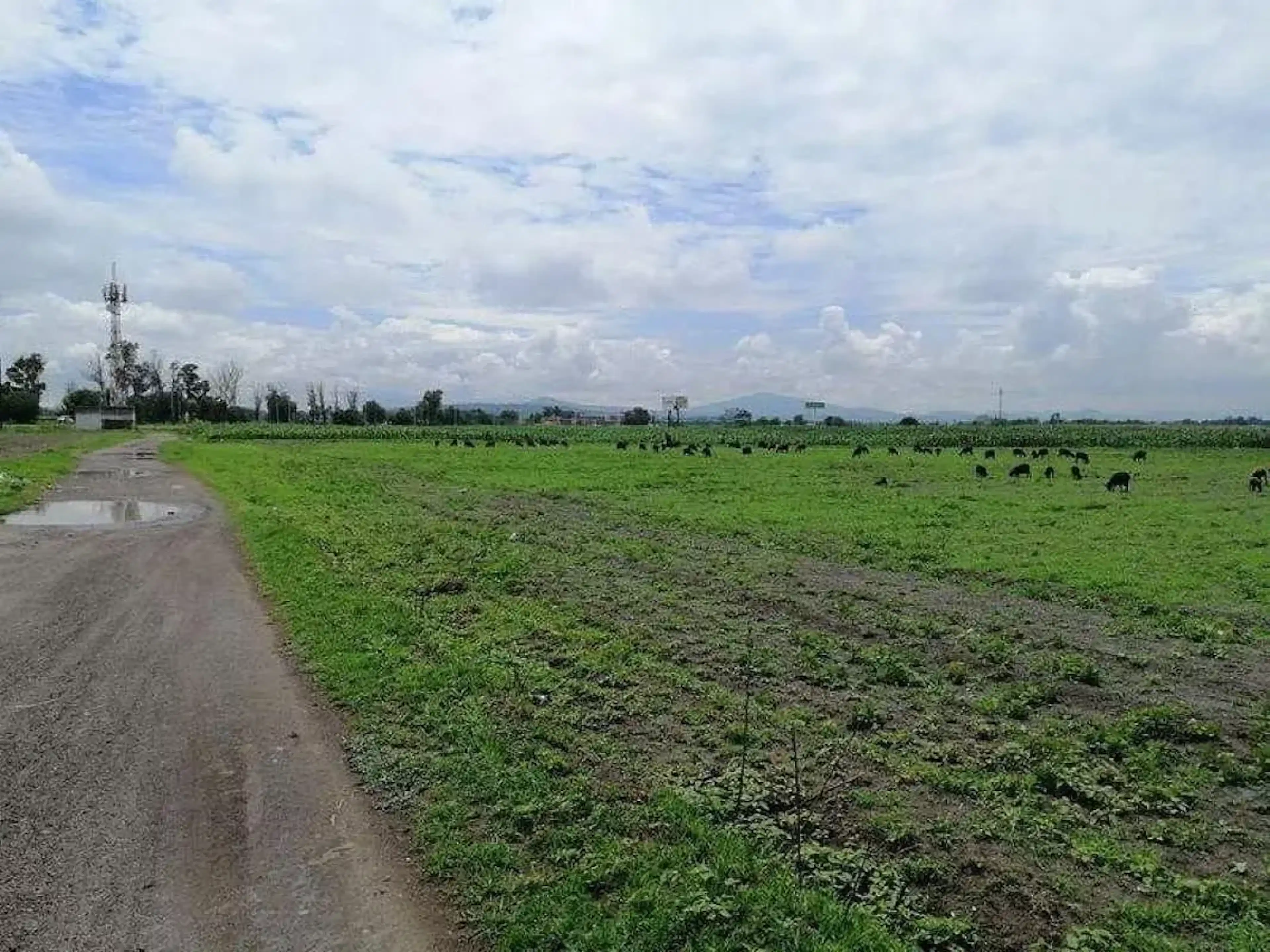 Terreno En Venta En Ejido De Tecámac, Tecámac, México