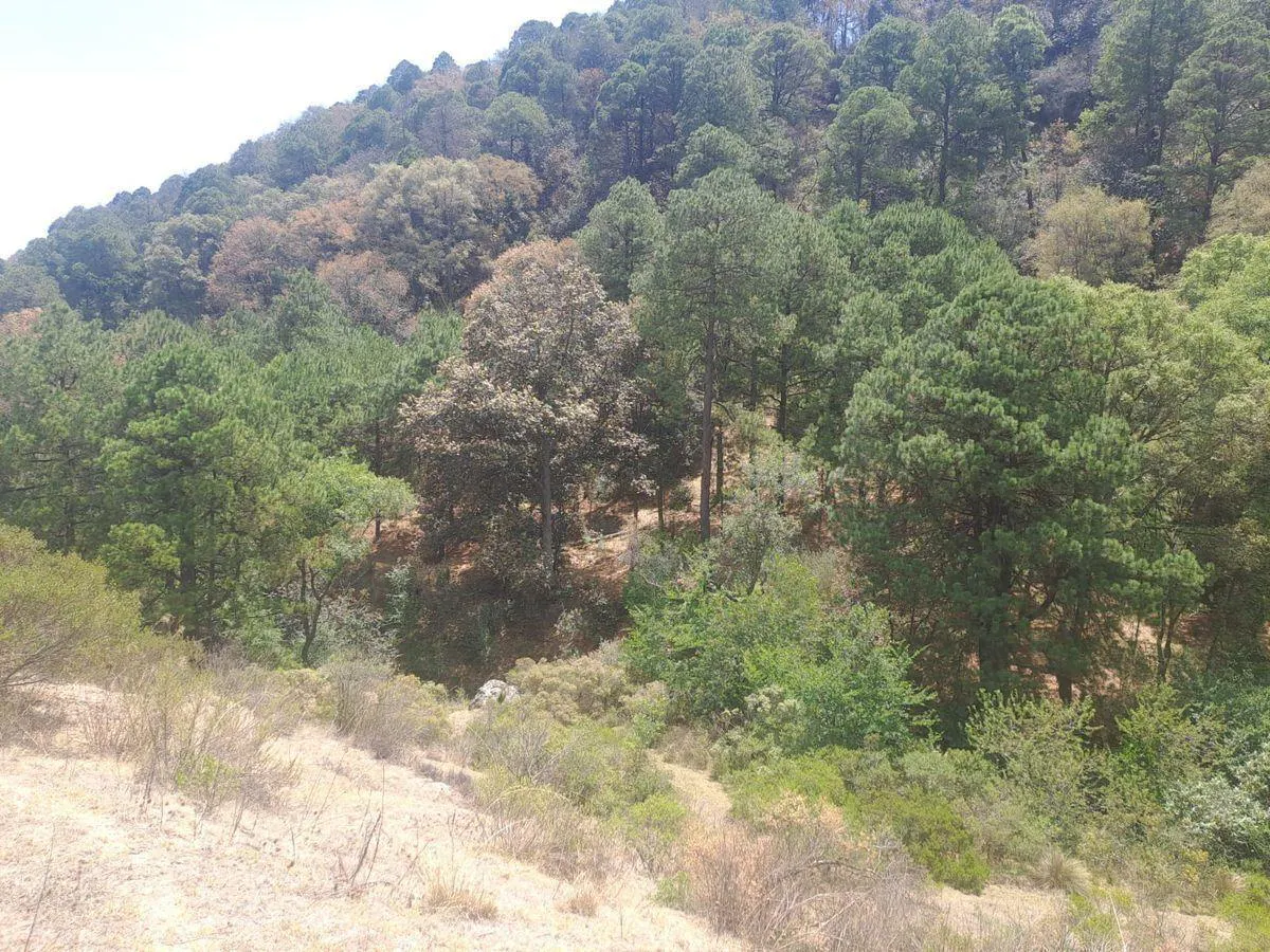 Terreno Spot2