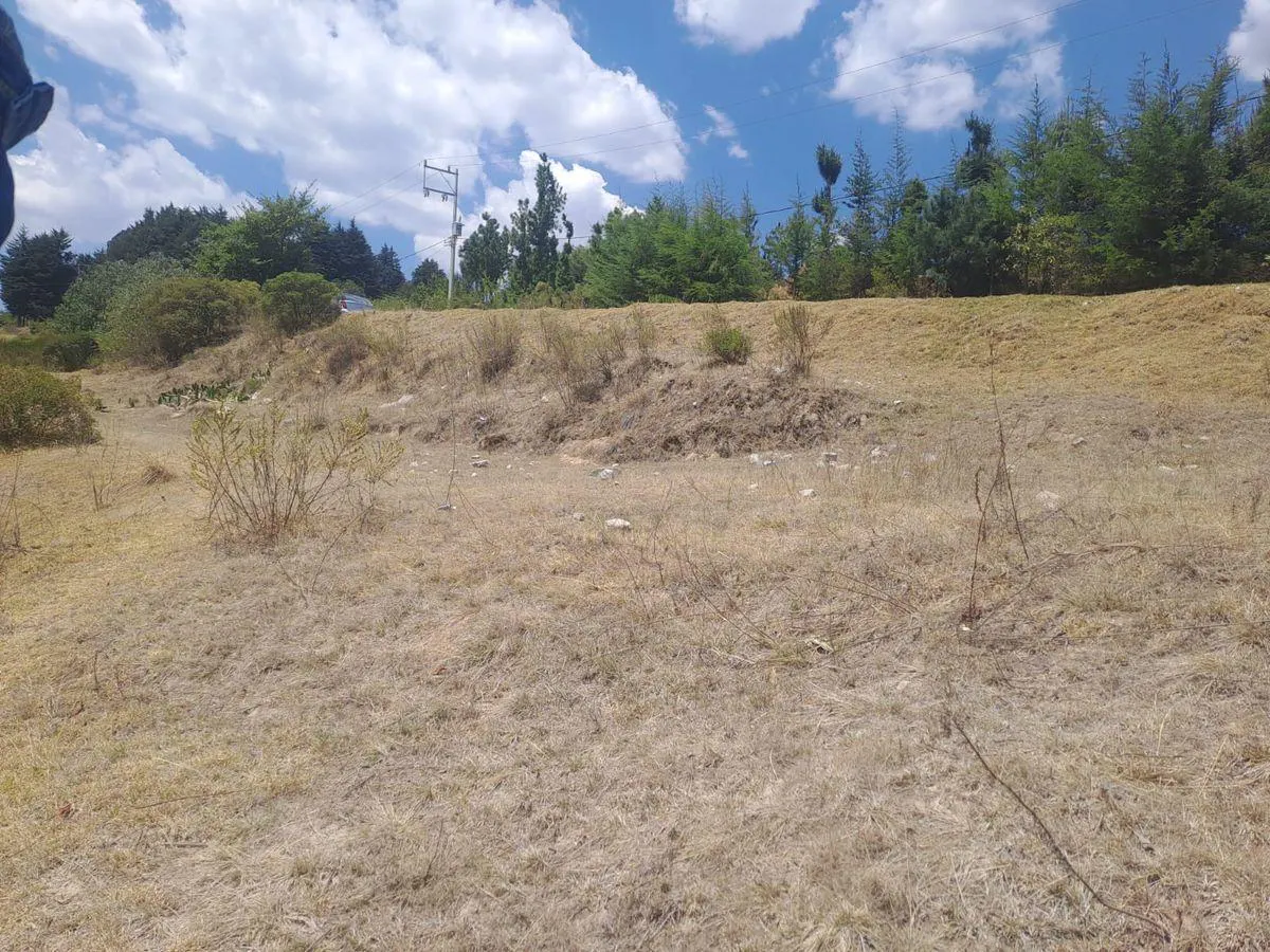 Terreno Spot2