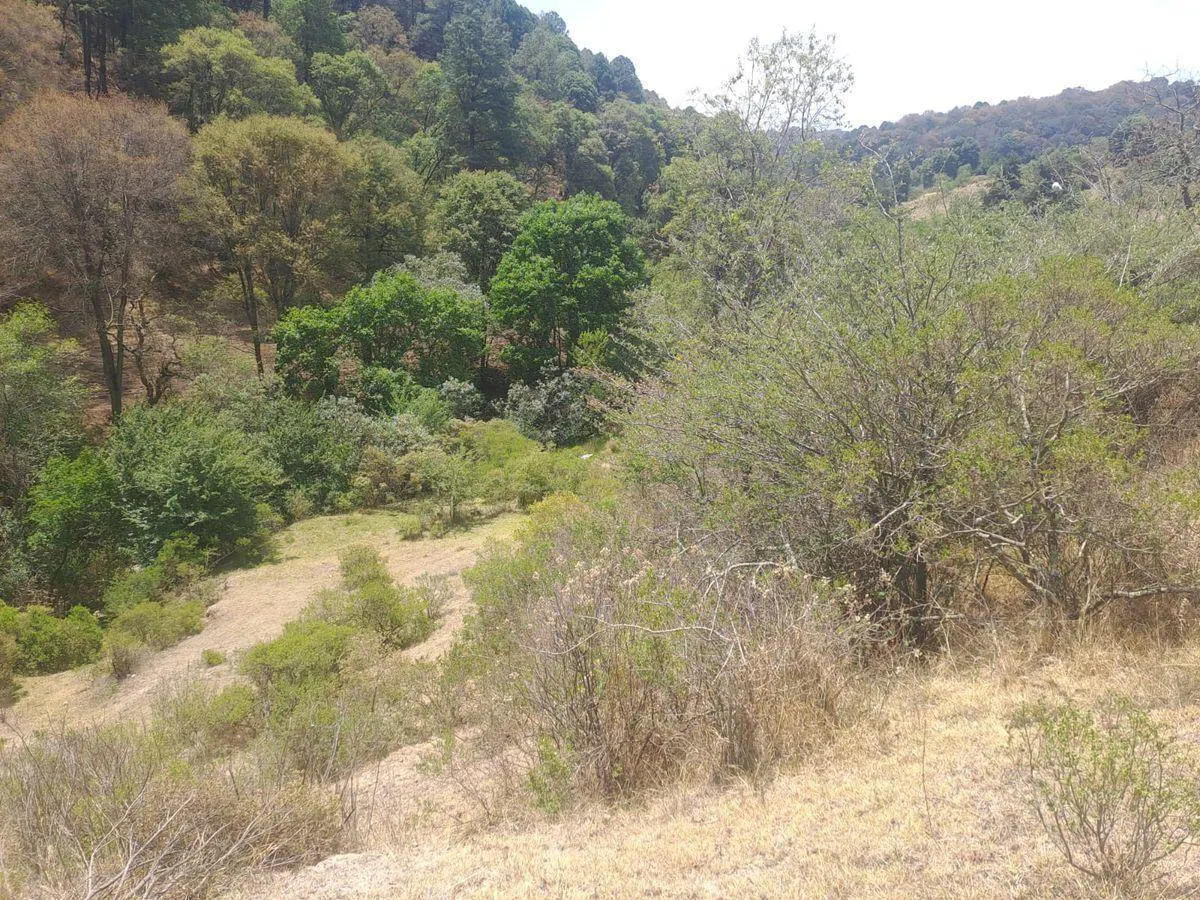 Terreno Spot2