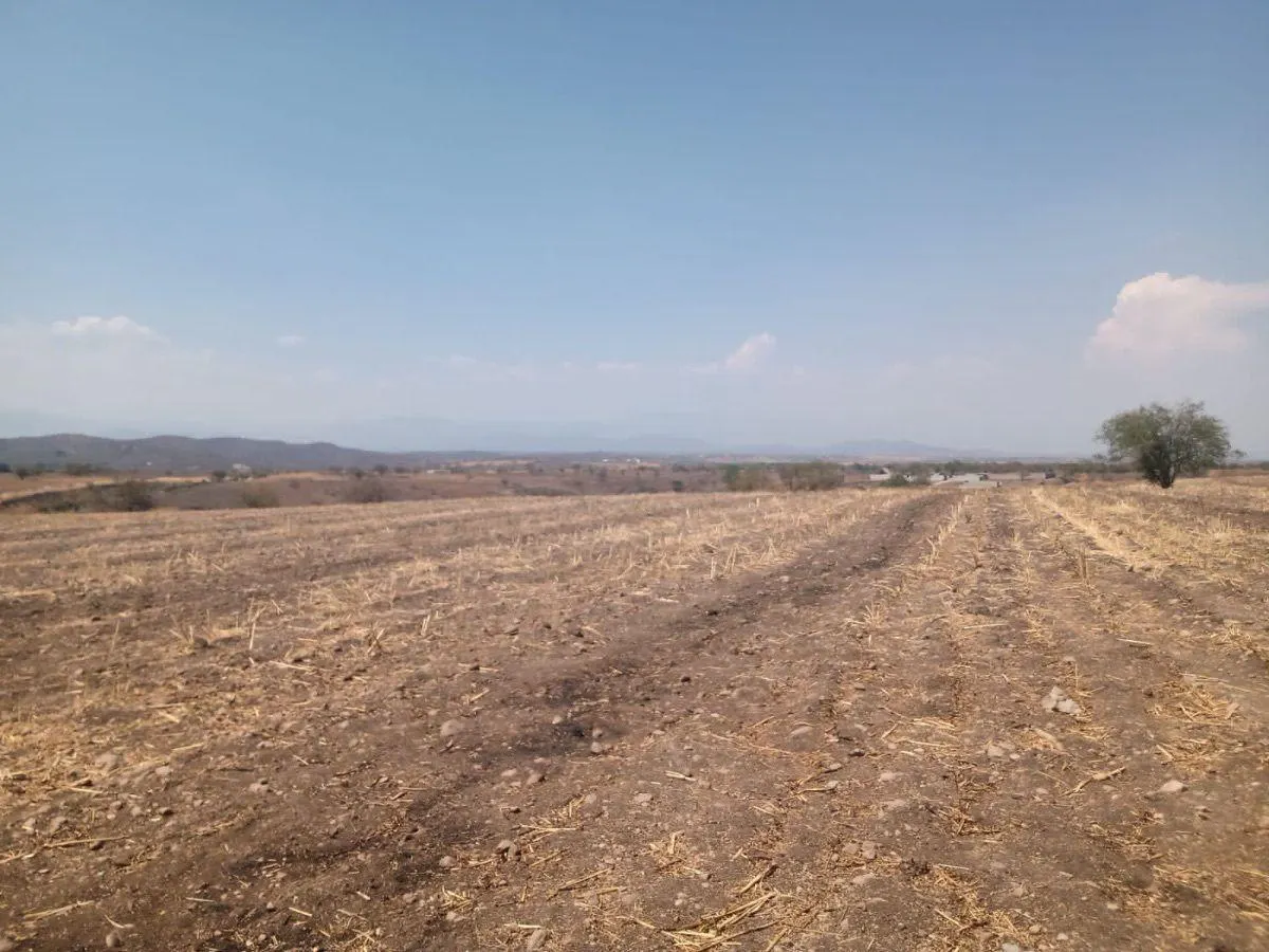 Terreno Spot2