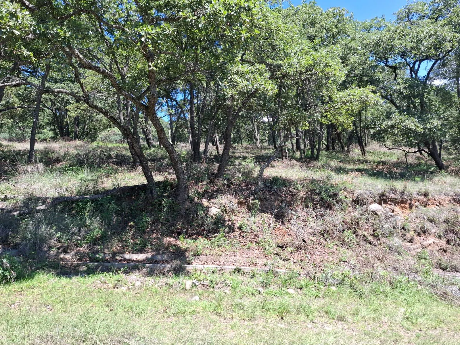 Terreno Spot2