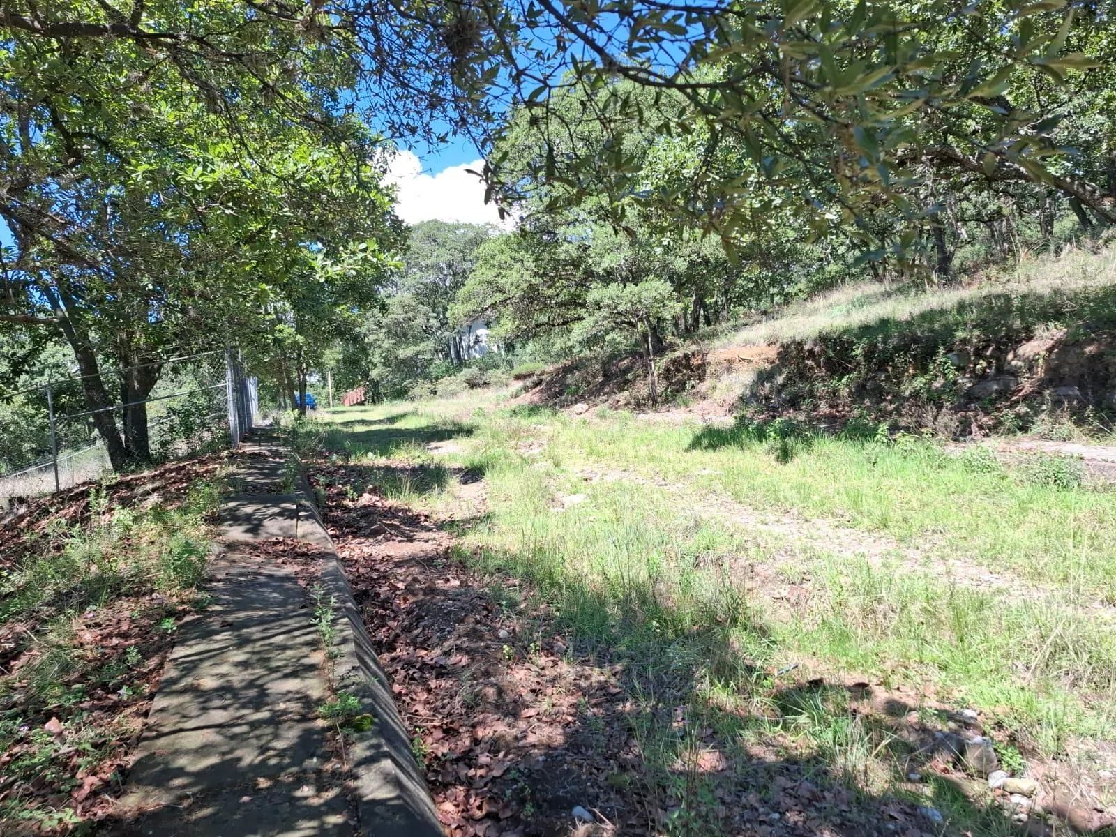 Terreno Spot2