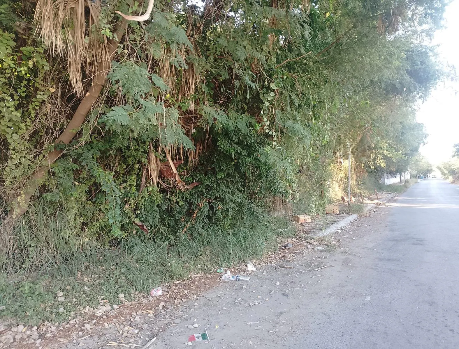 Terreno Spot2