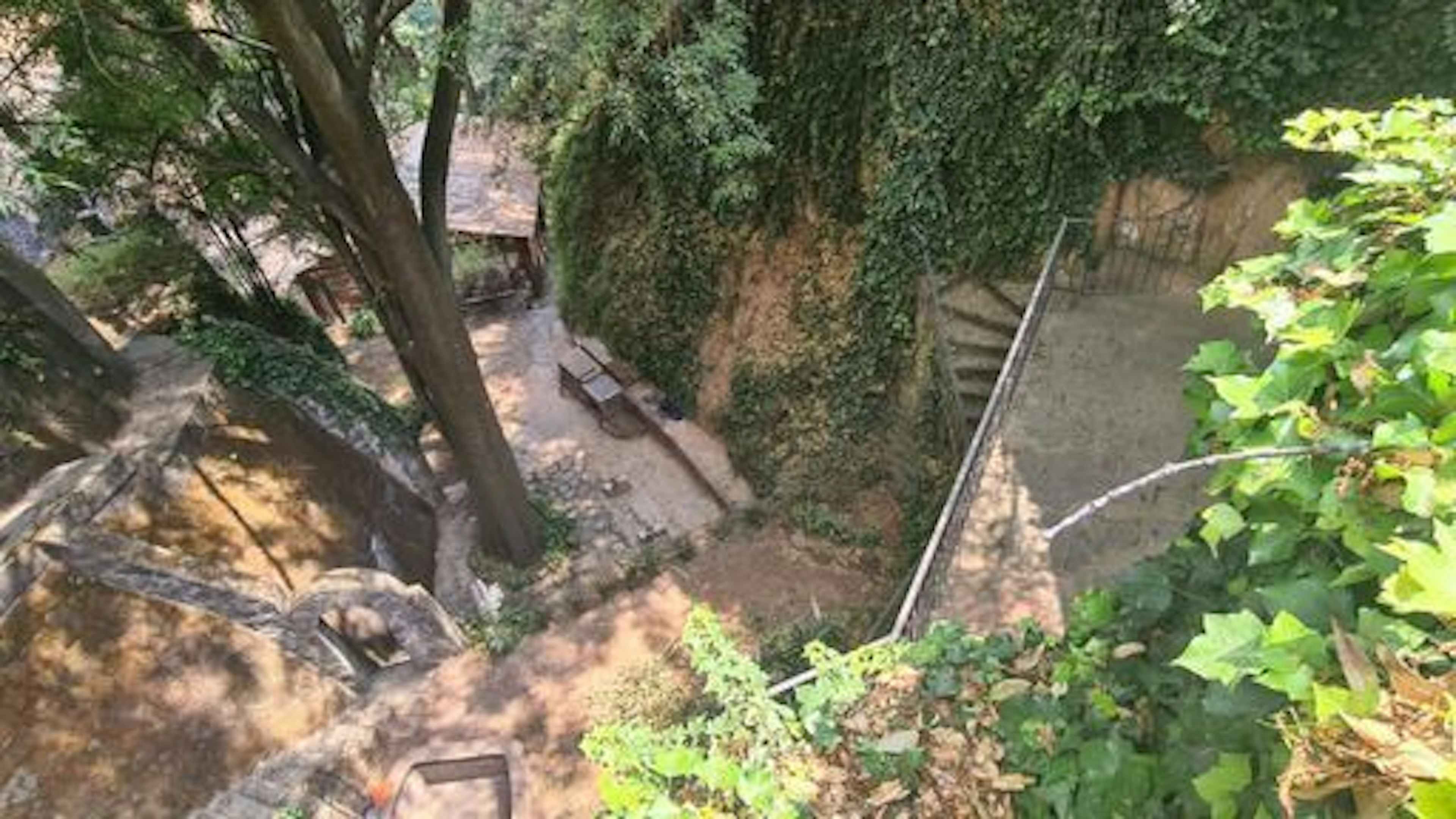 Desierto De Los Leones 5718