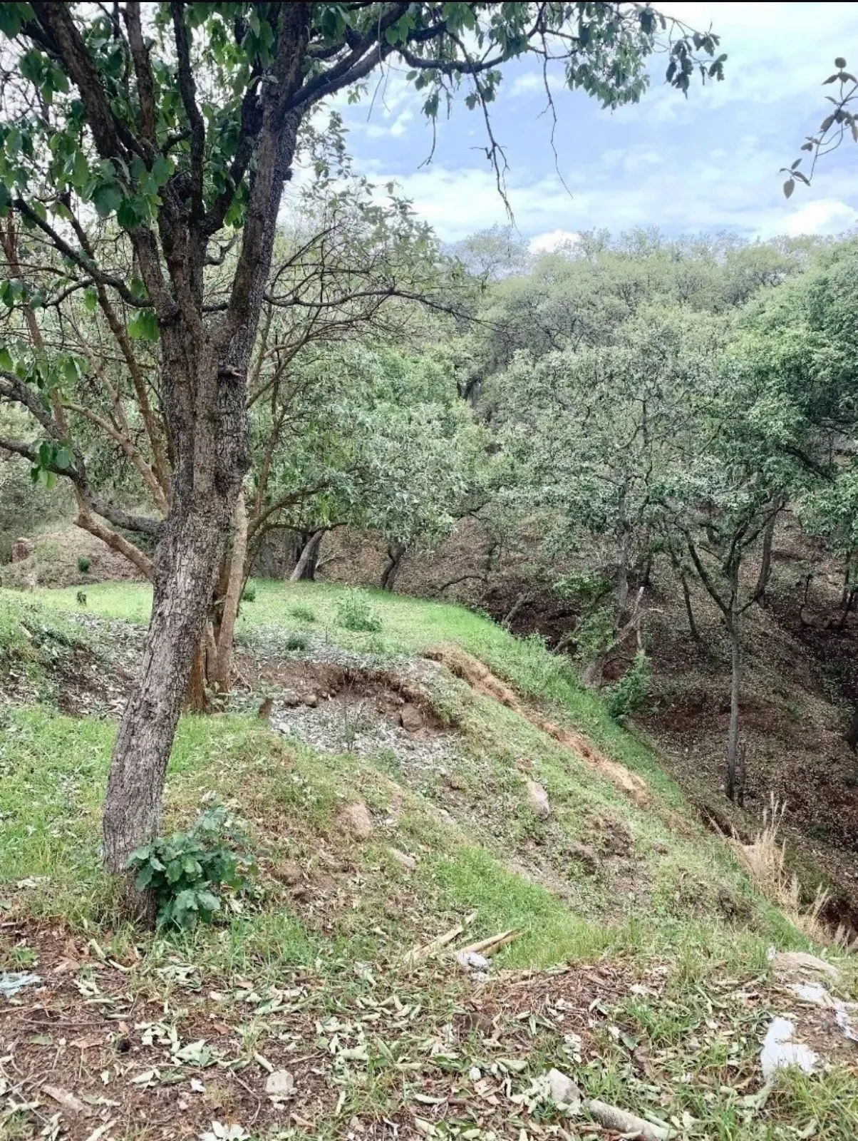 Terreno Spot2