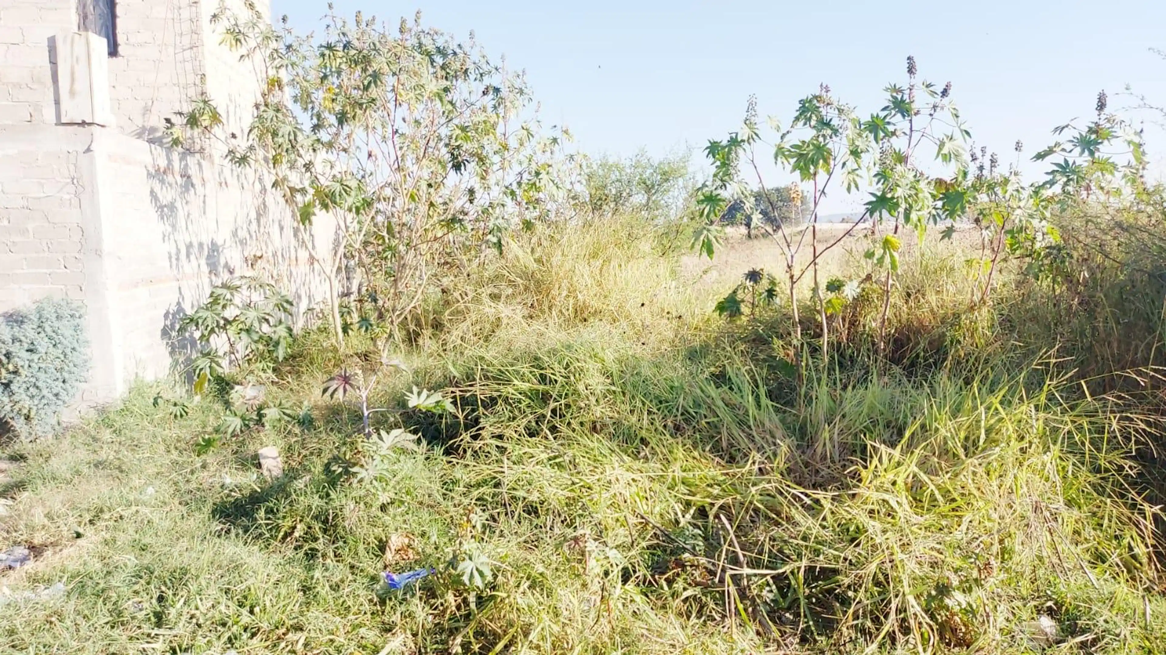 Terreno En Copalita