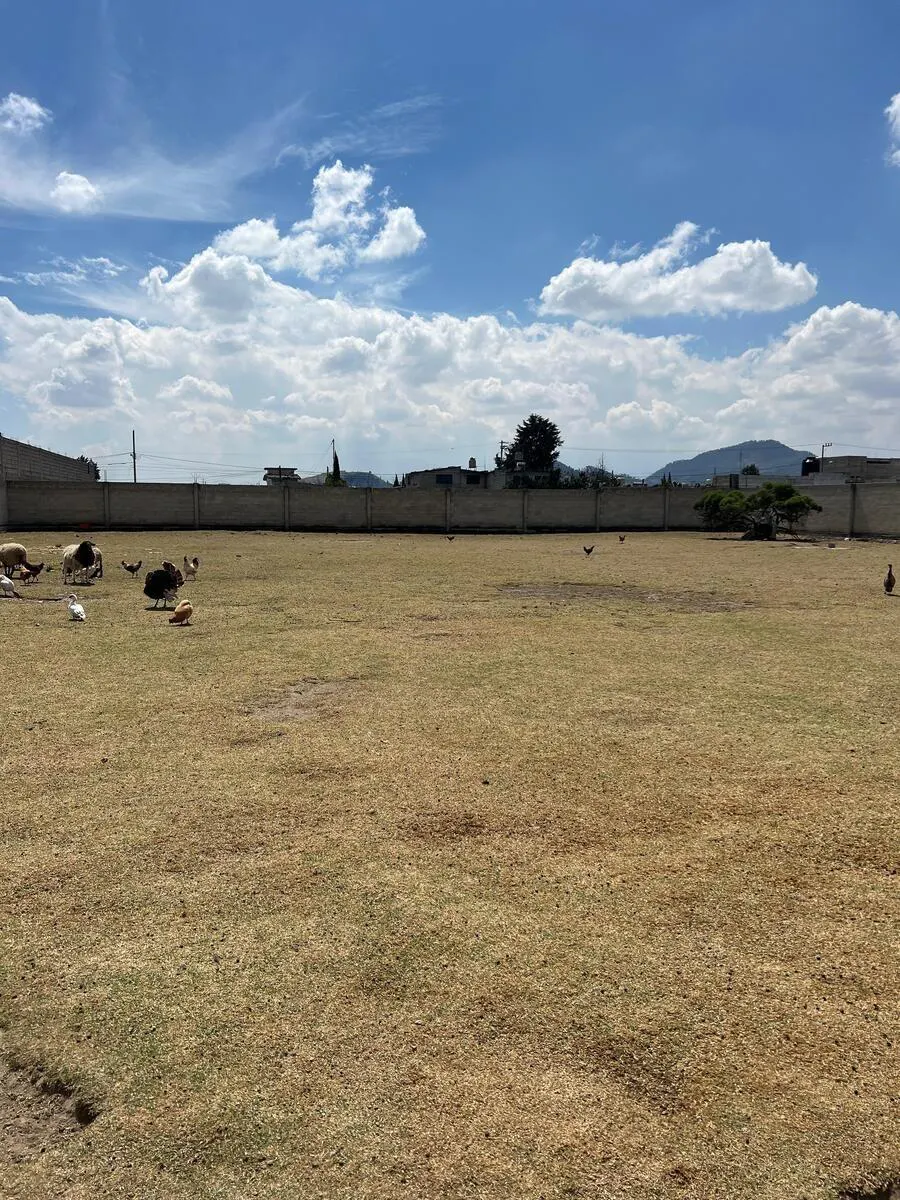 Terreno Spot2