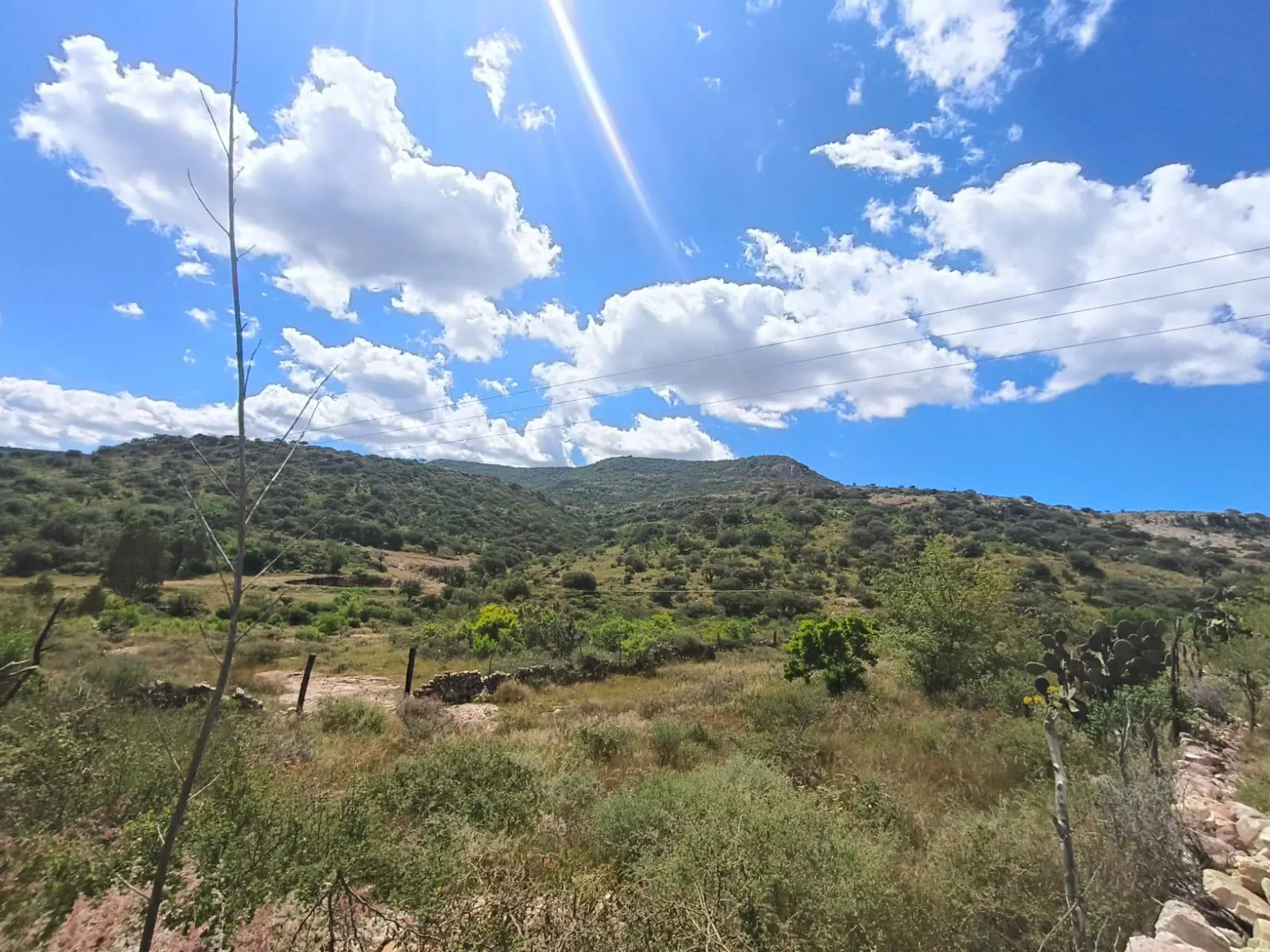 Terreno Spot2