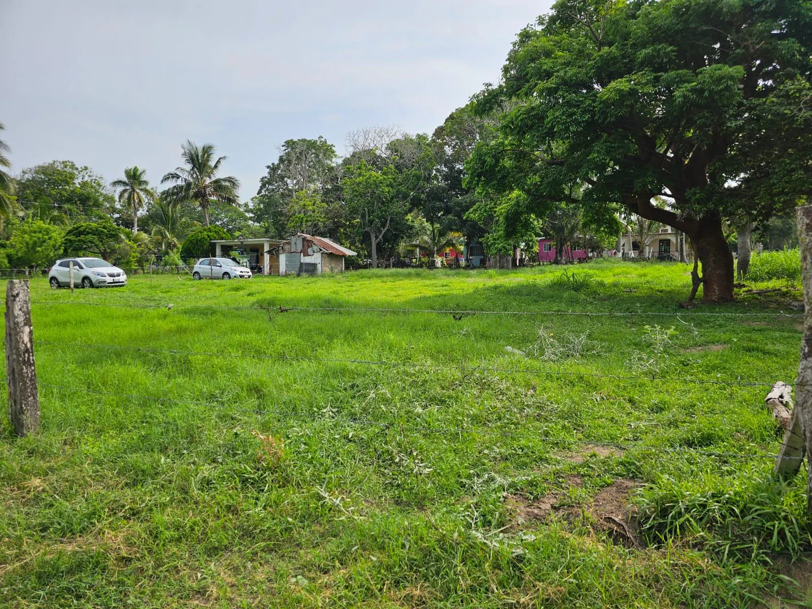 Terreno Spot2
