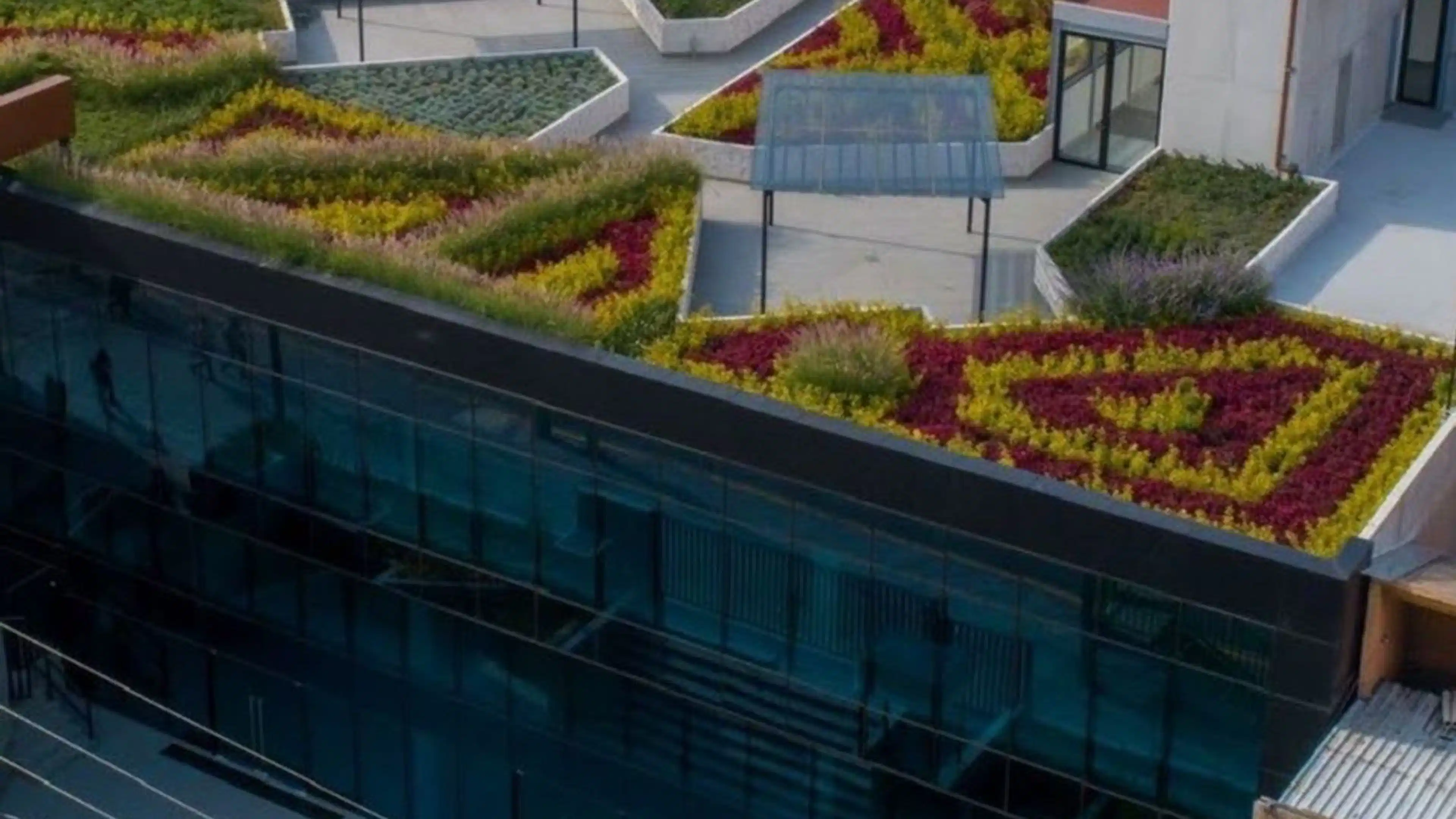 Avenida Insurgentes Sur 3800