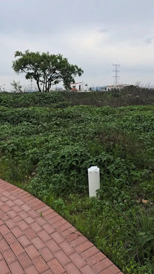Terreno Spot2