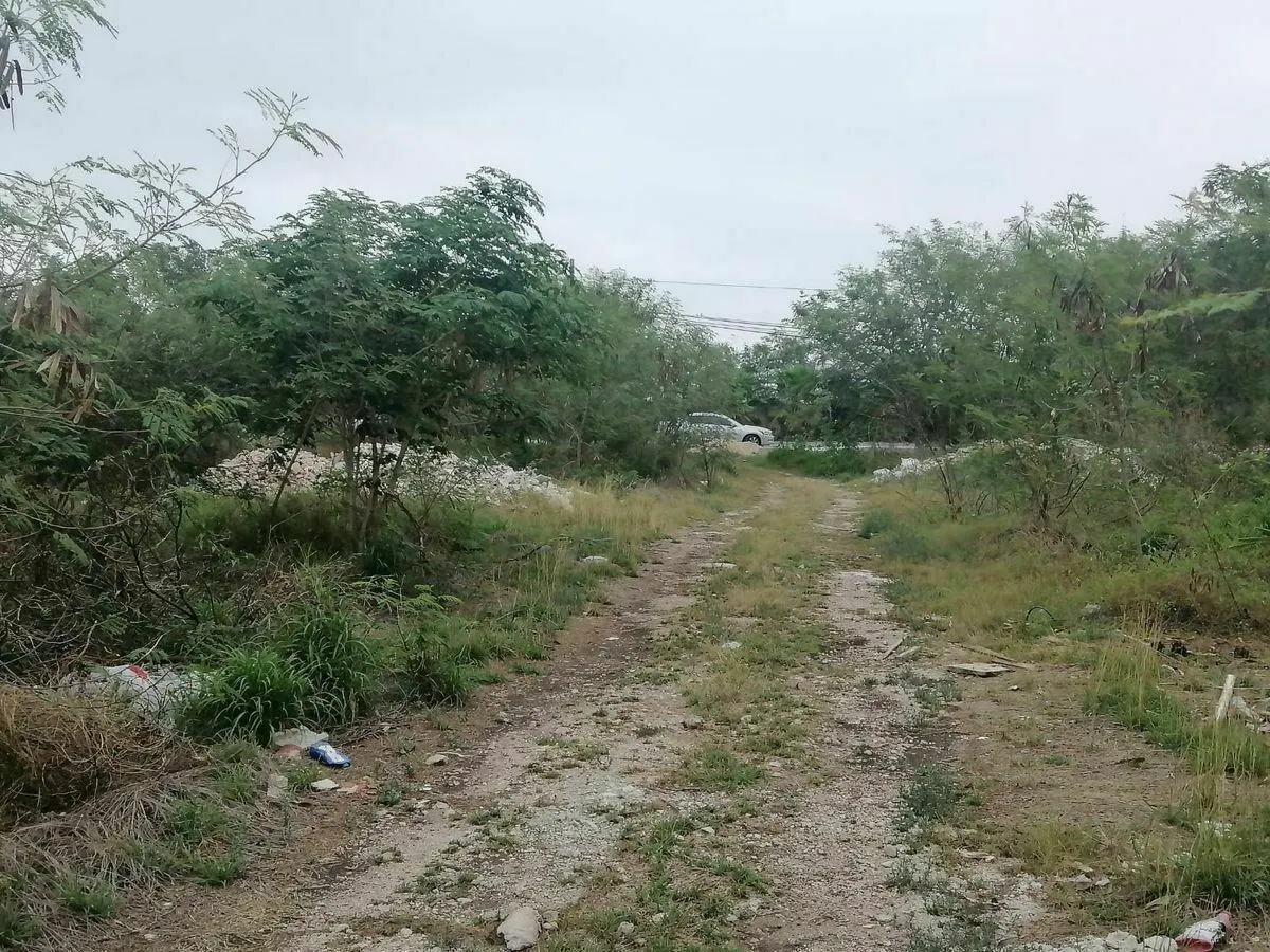 Terreno Spot2