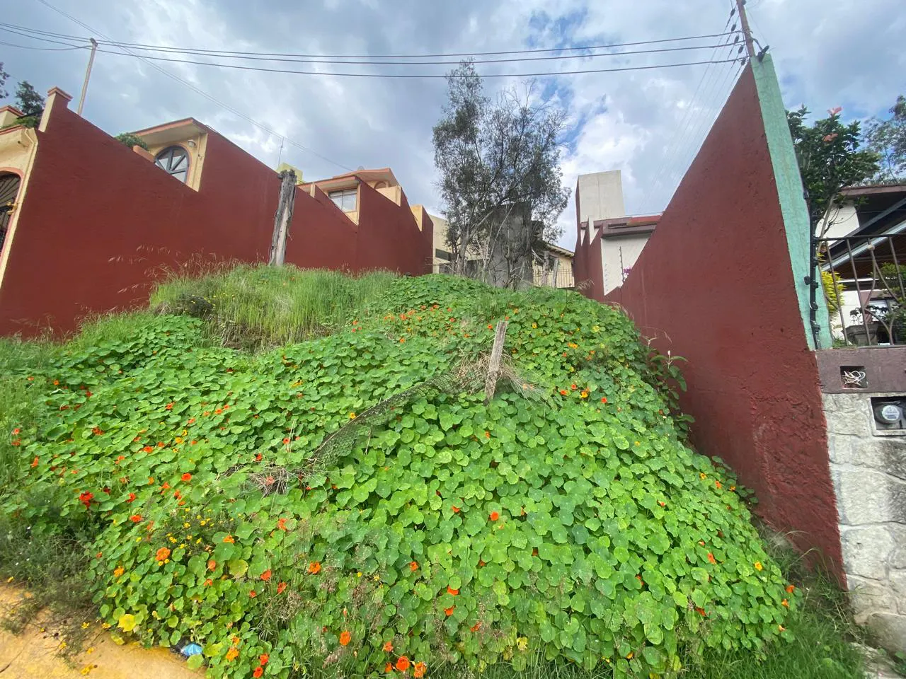 Terreno Spot2