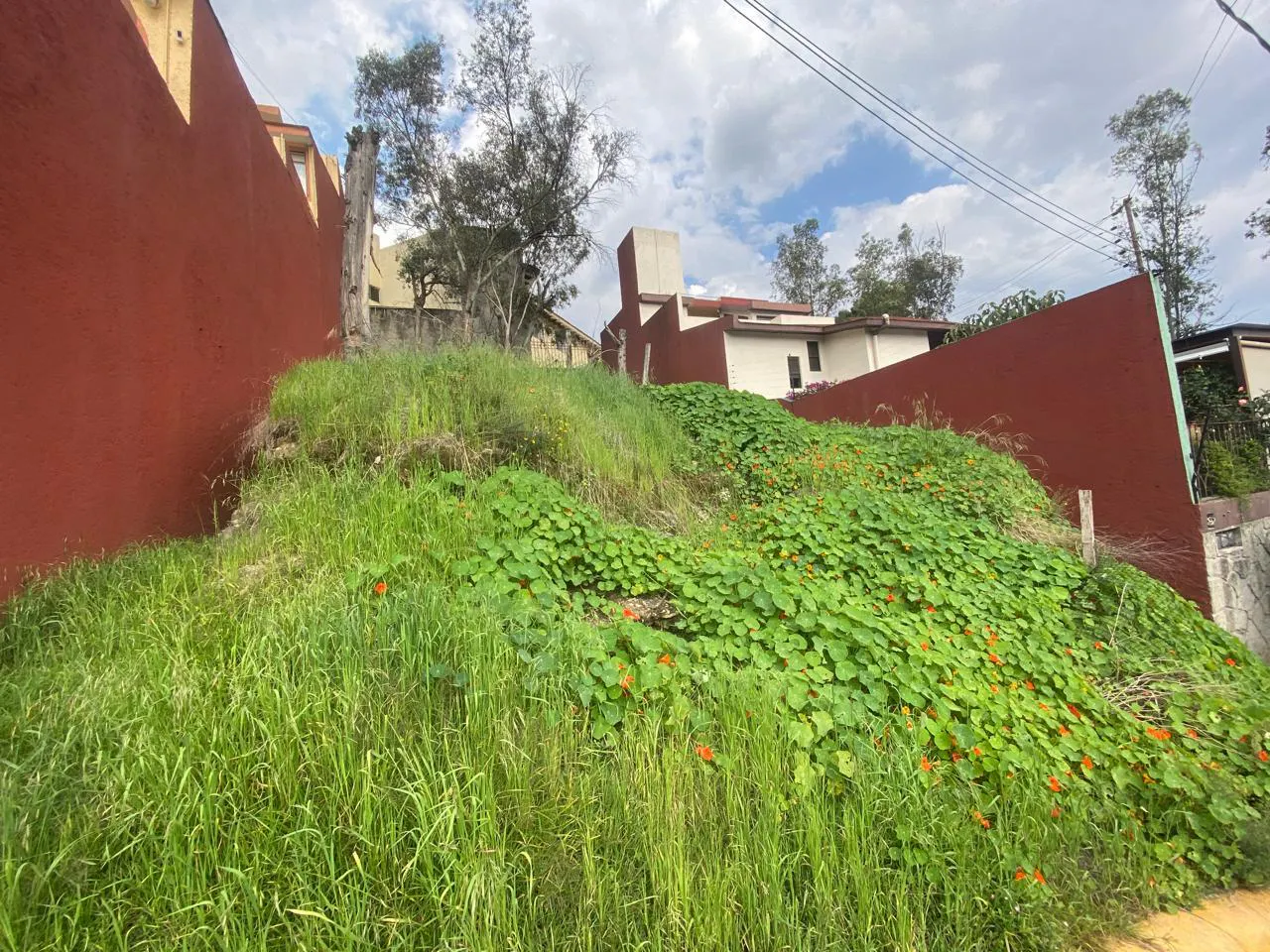 Terreno Spot2