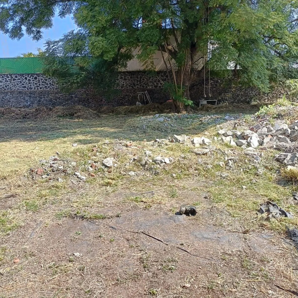Terreno Spot2