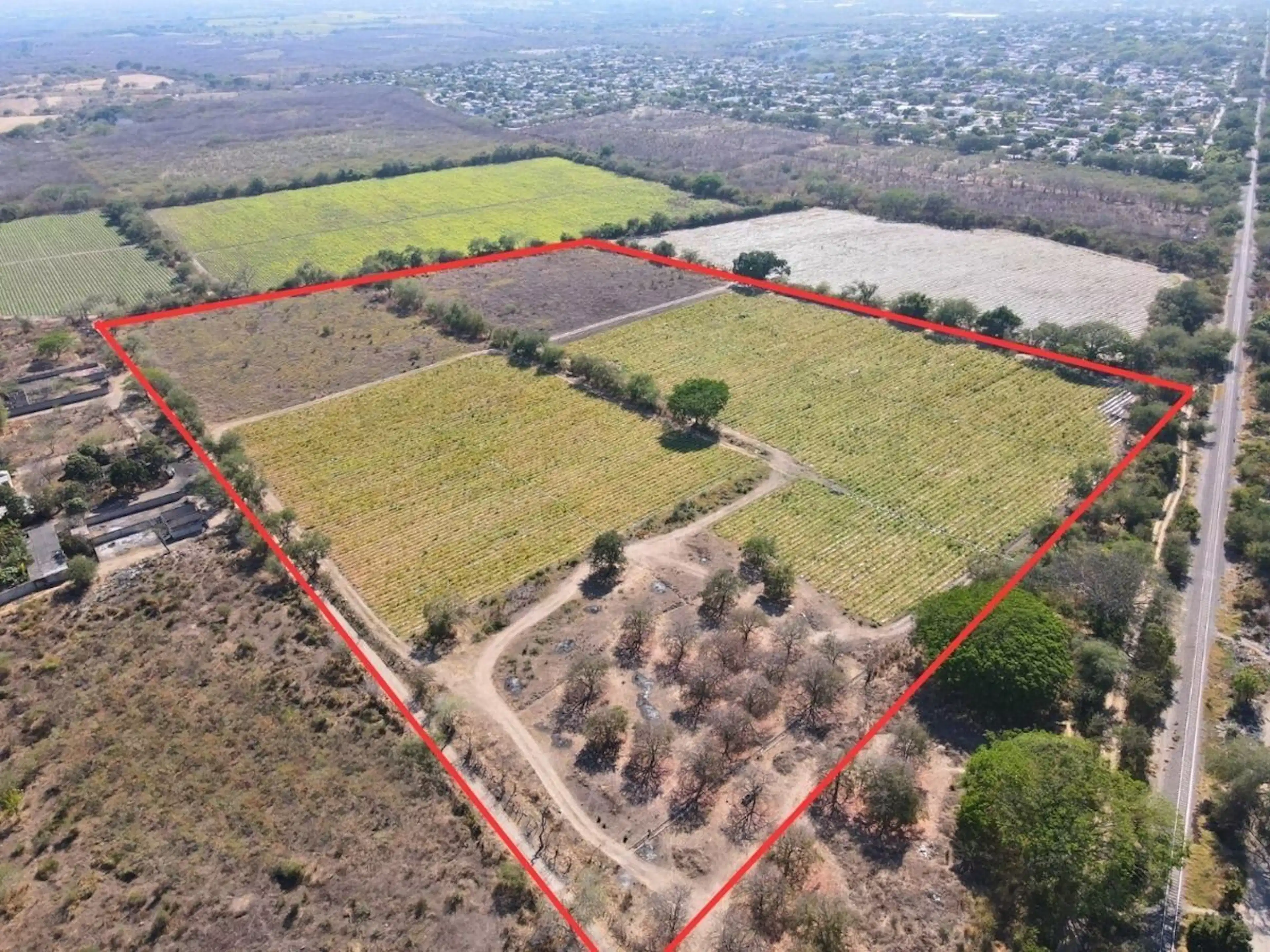 Venta 10 Hectáreas Planas Ldeal Para Urbanizar Zona Oriente De Colima