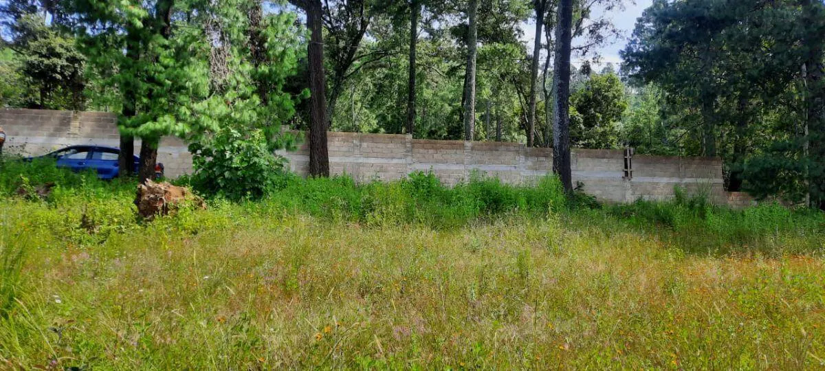 Terreno Spot2