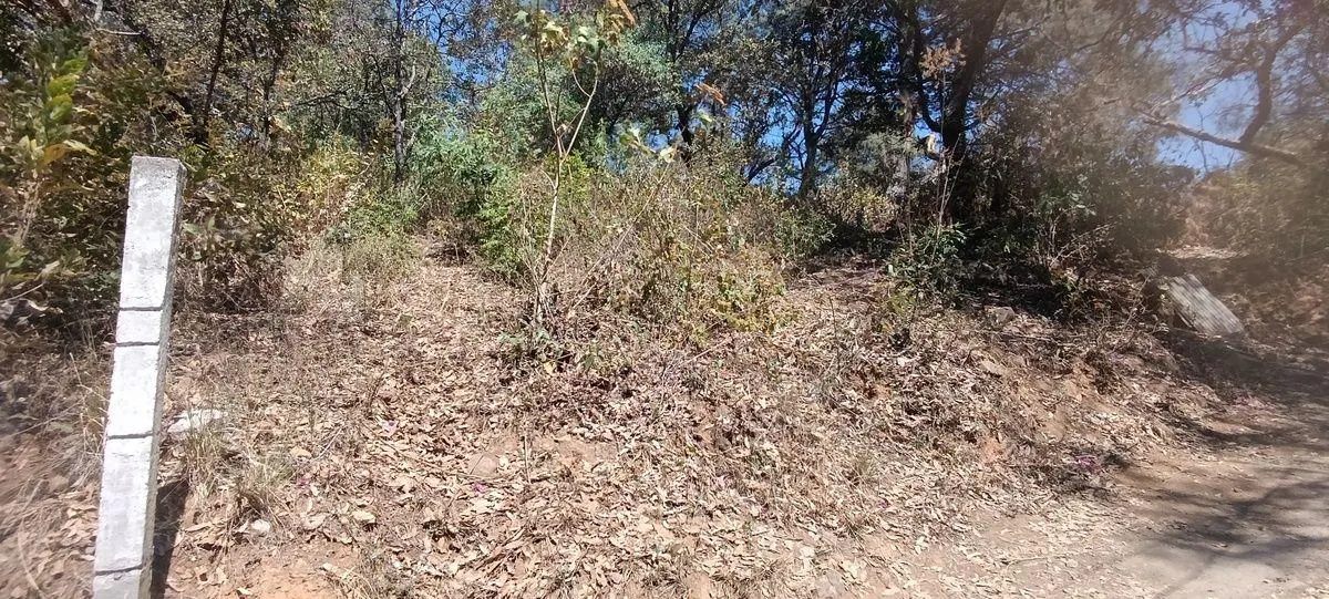 Terreno Spot2