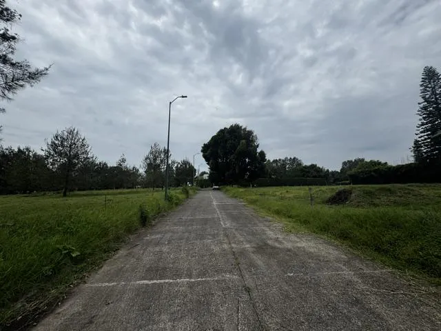 Terreno Spot2