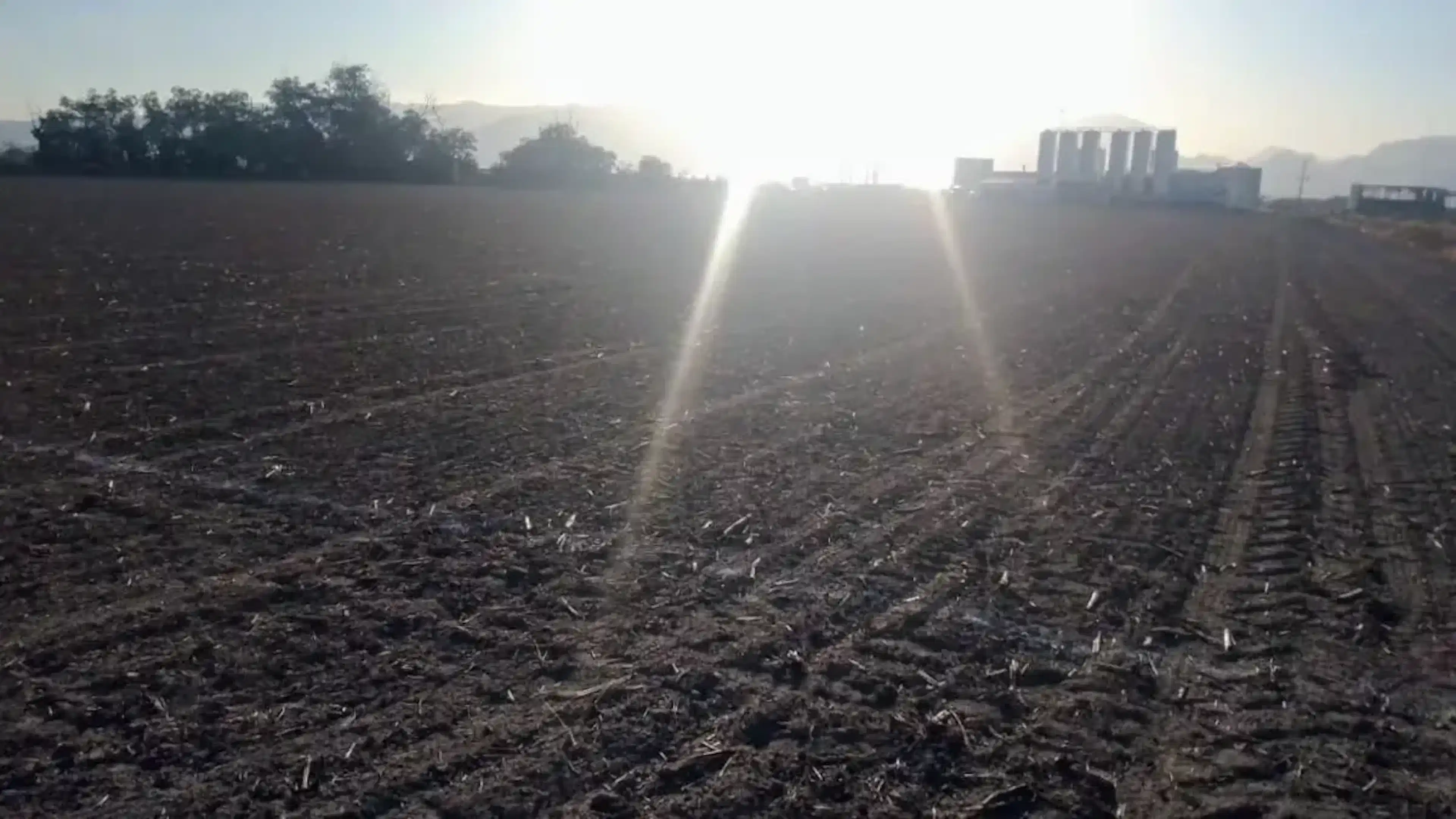 Terreno En Renta En San Antonio, Gómez Palacio, Durango