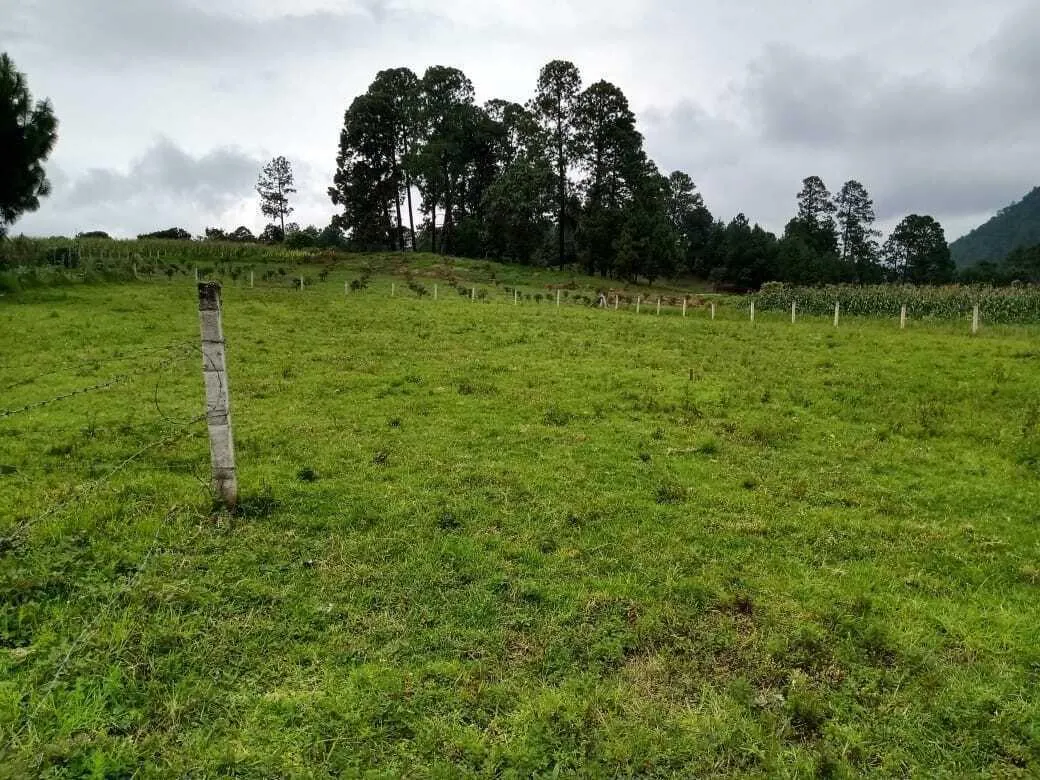 Terreno Spot2