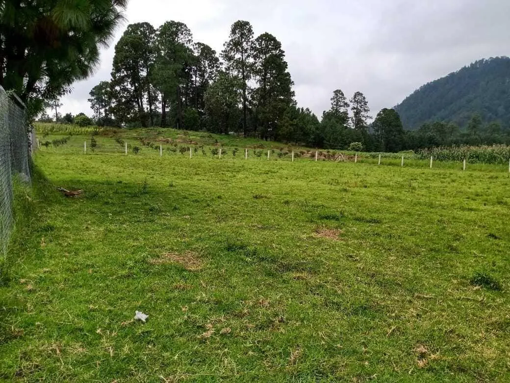 Terreno Spot2