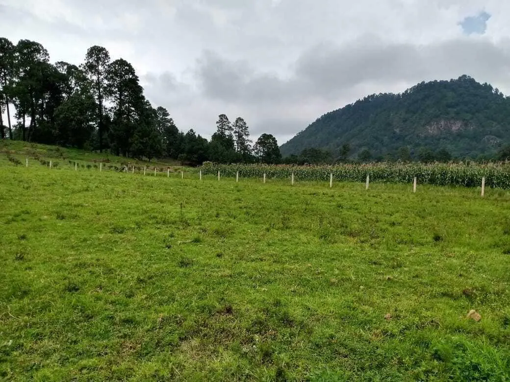 Terreno Spot2
