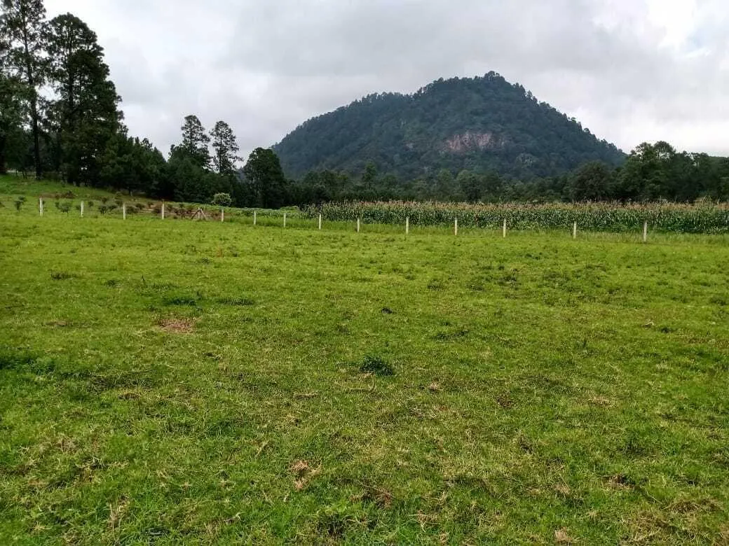 Terreno Spot2