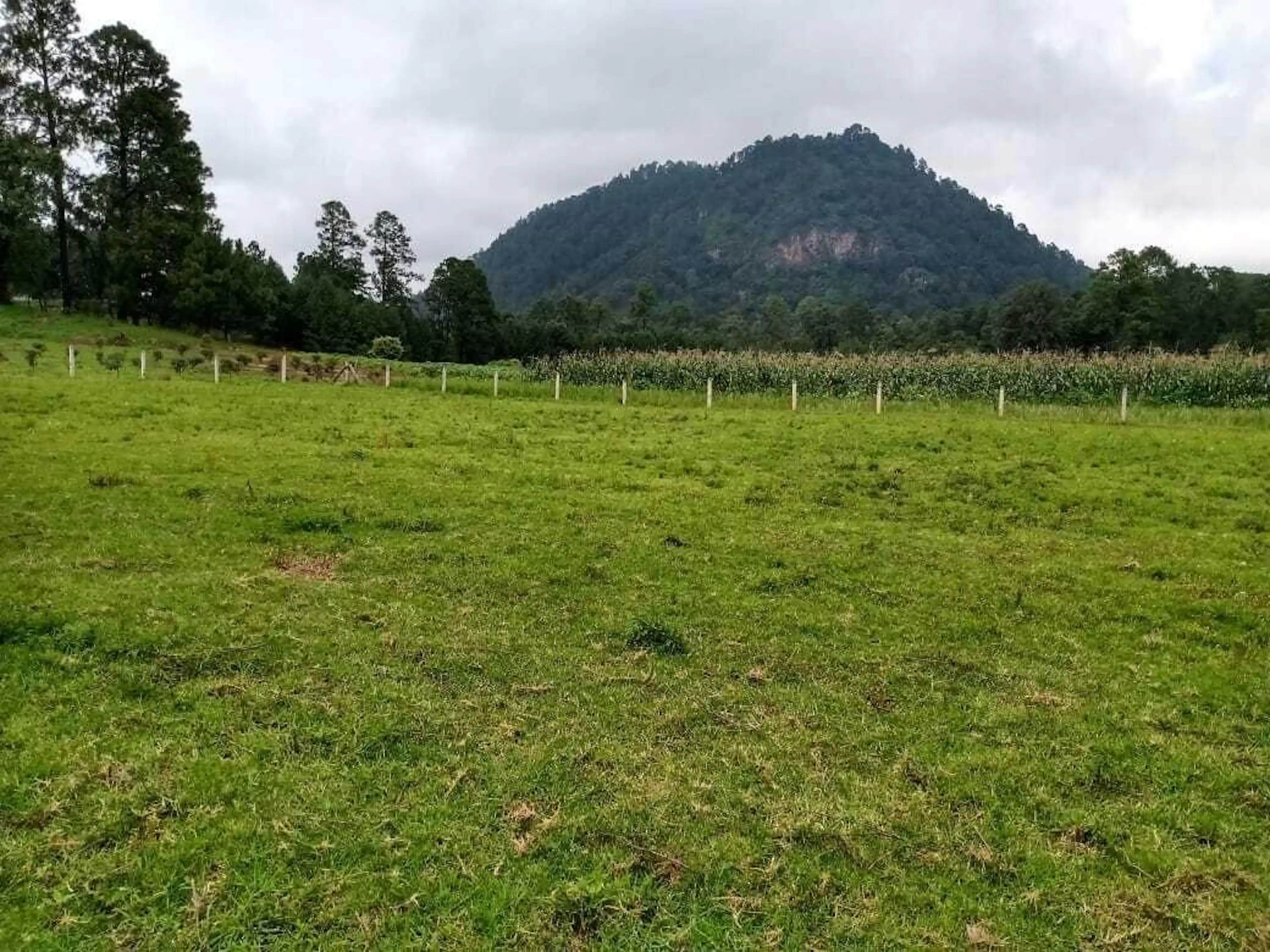 Terreno Ejidal en Venta en San Bartolo