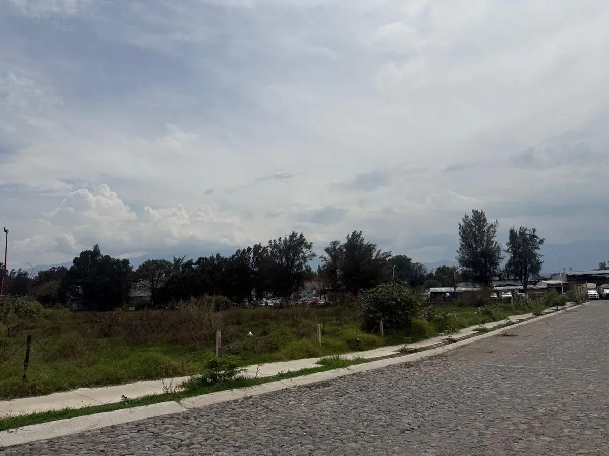 Terreno Spot2