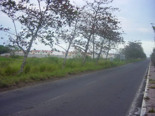 Terreno Spot2