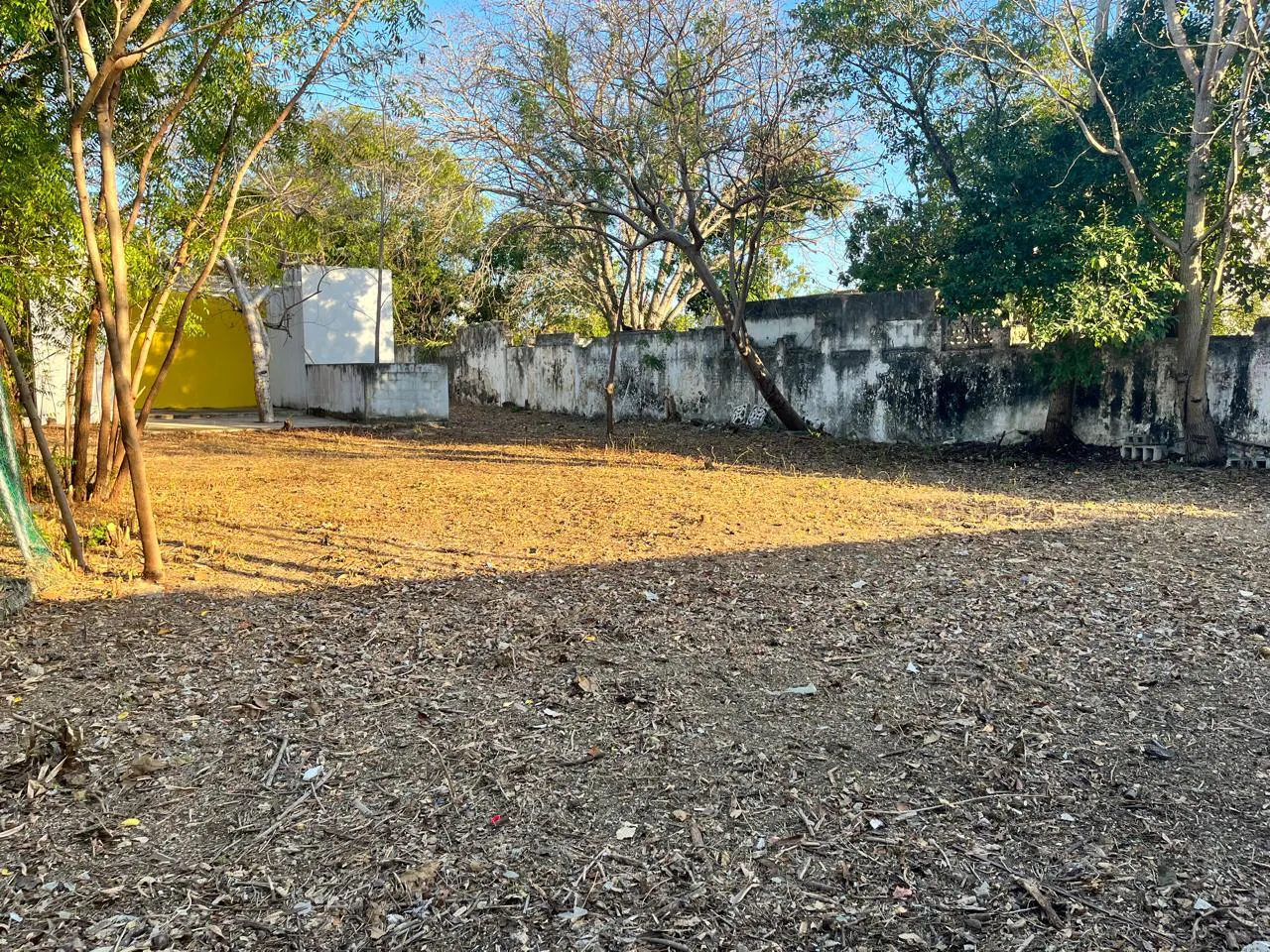 Terreno Spot2