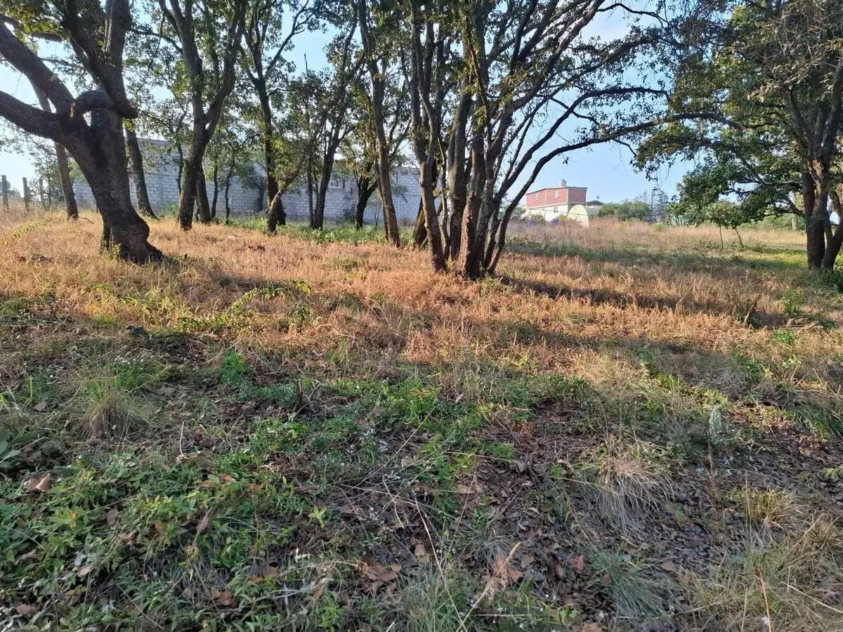 Terreno Spot2