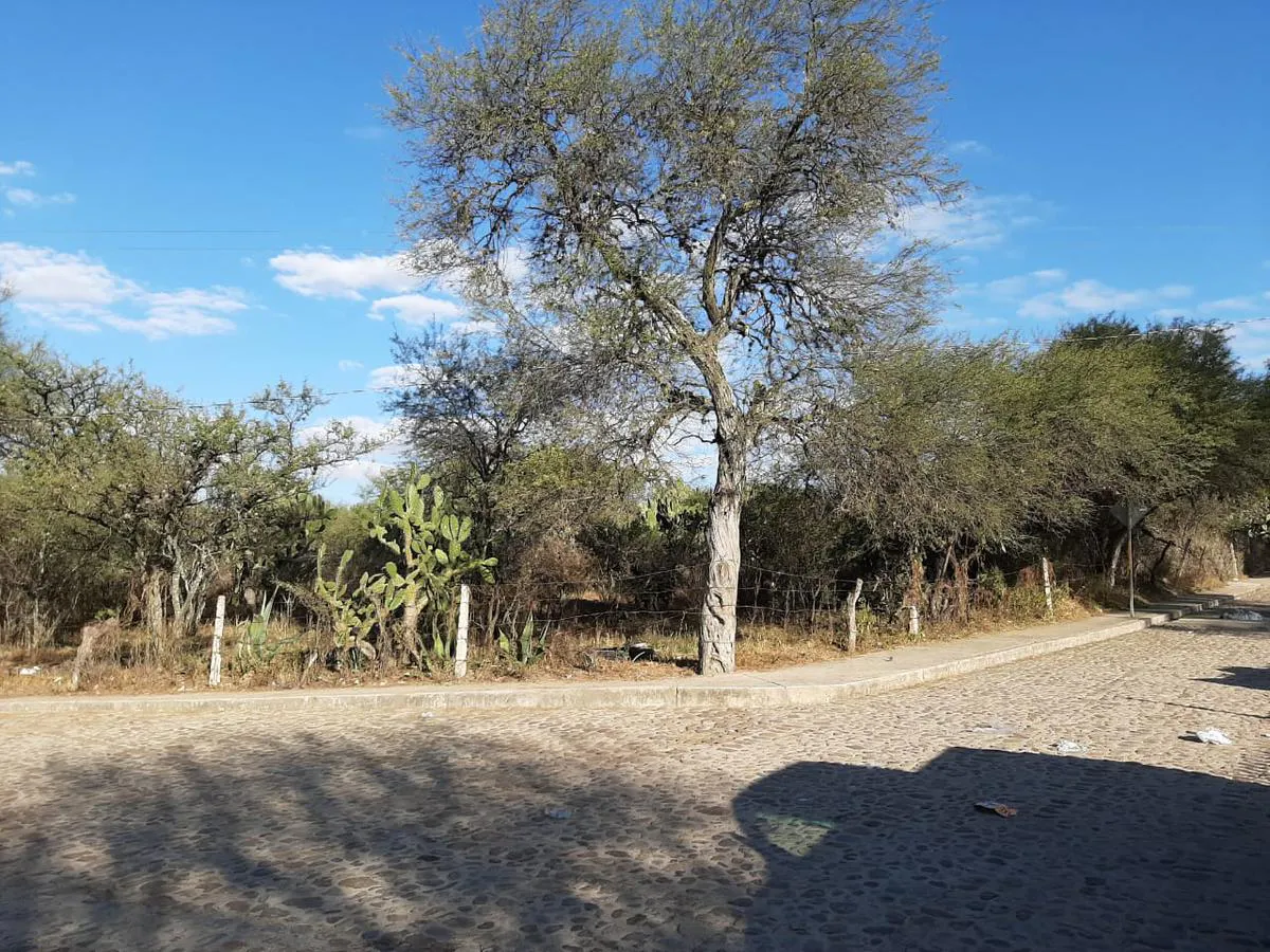 Terreno Spot2