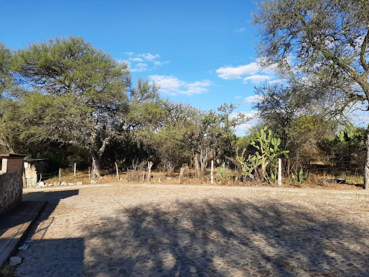 Terreno Spot2