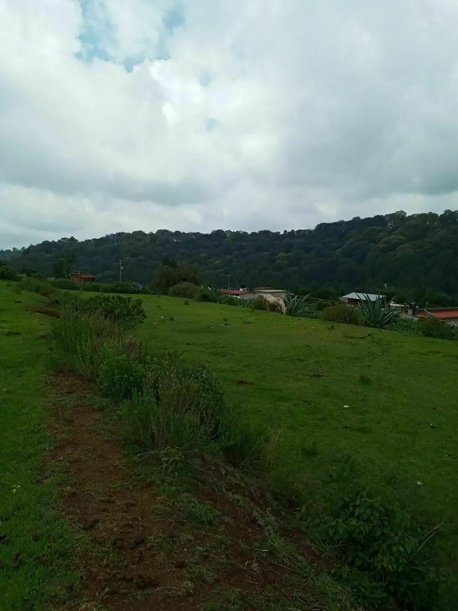 Terreno Spot2