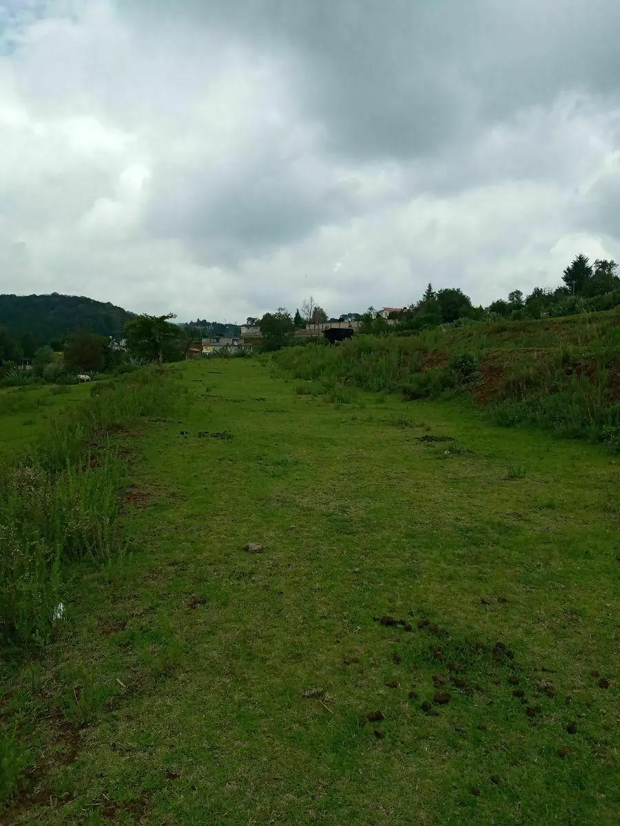 Terreno Spot2