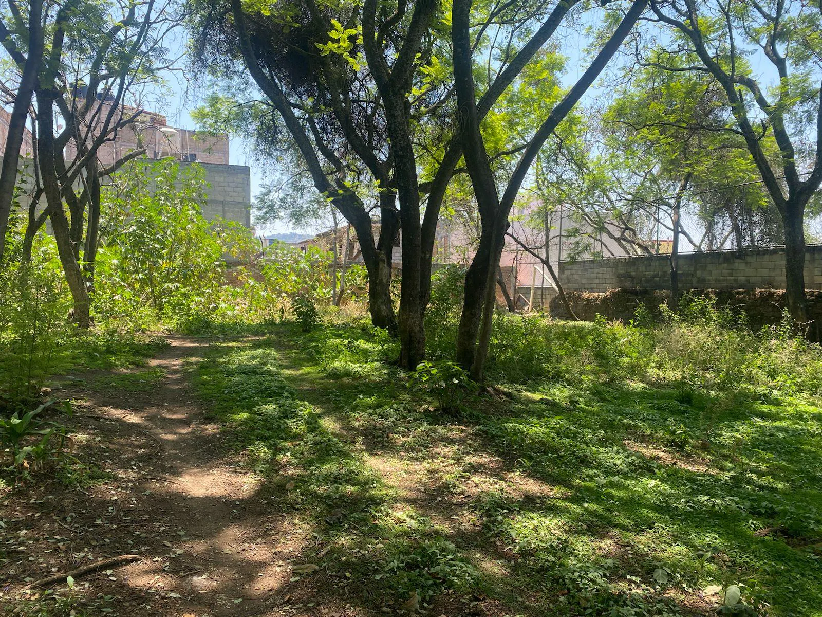 Terreno Spot2