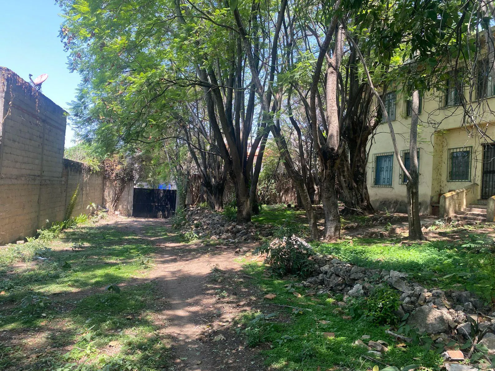 Terreno Spot2