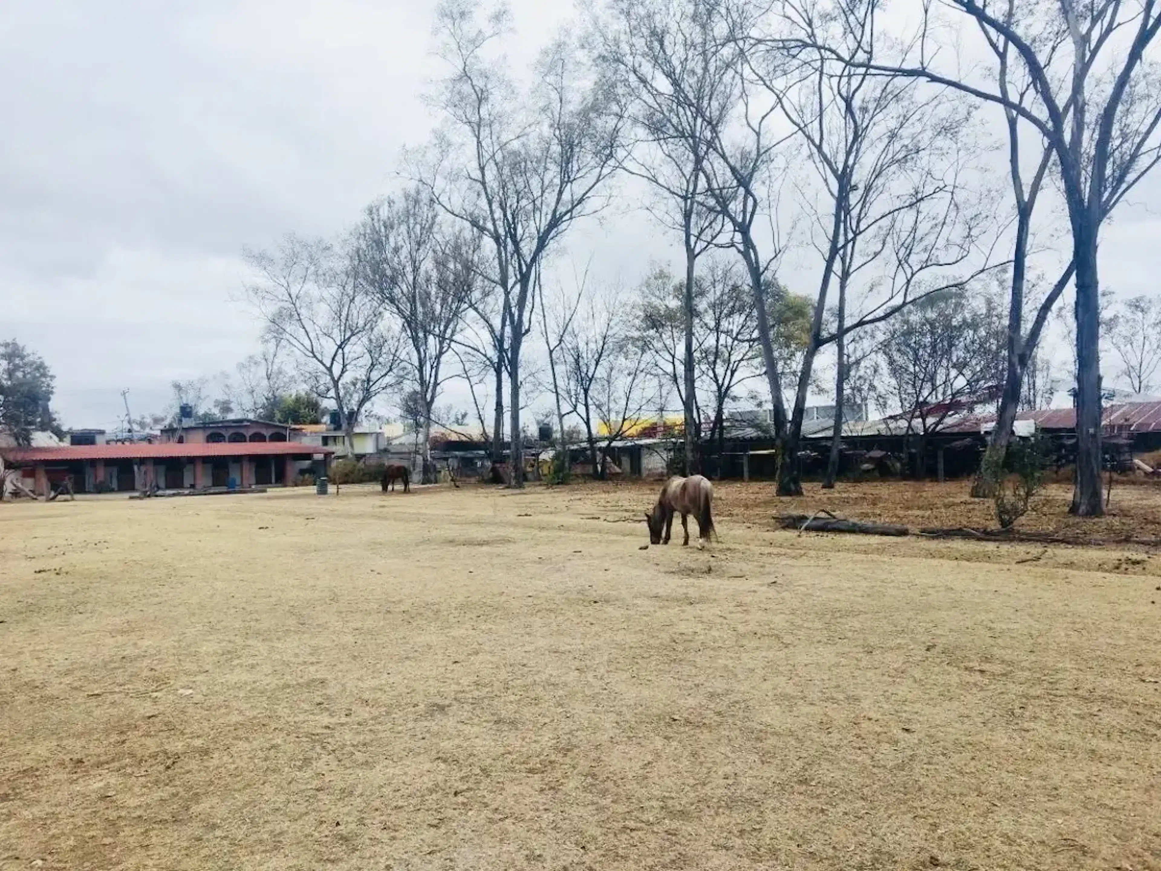 Terreno En Venta En Granjas Lomas De Guadalupe, Cuautitlán Izcalli, México