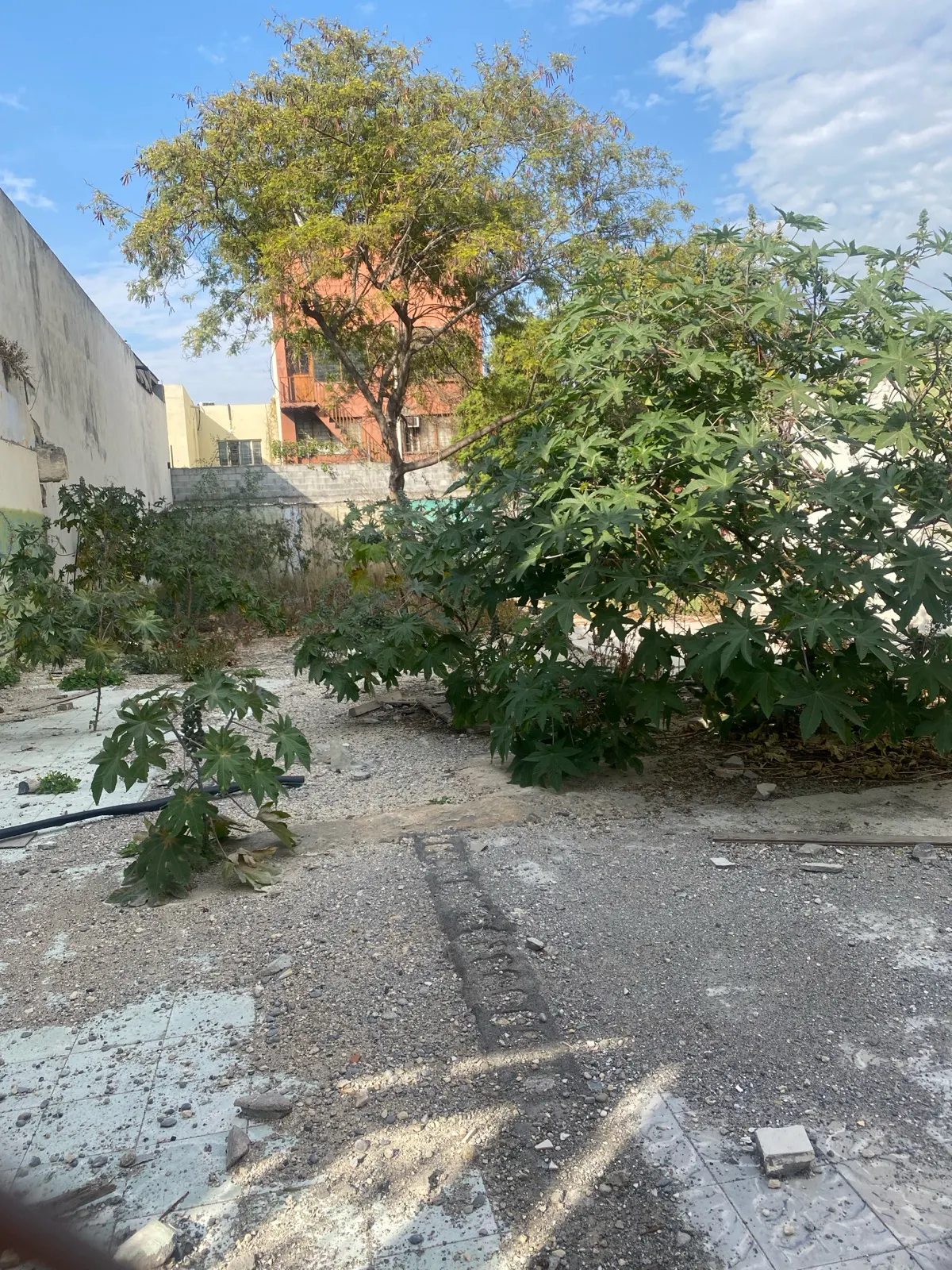 Terreno Spot2