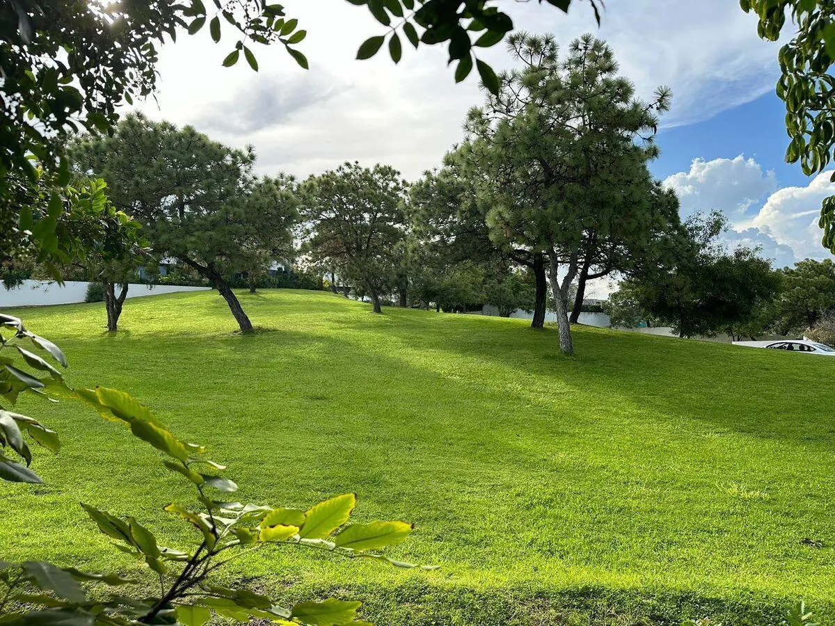 Terreno Spot2