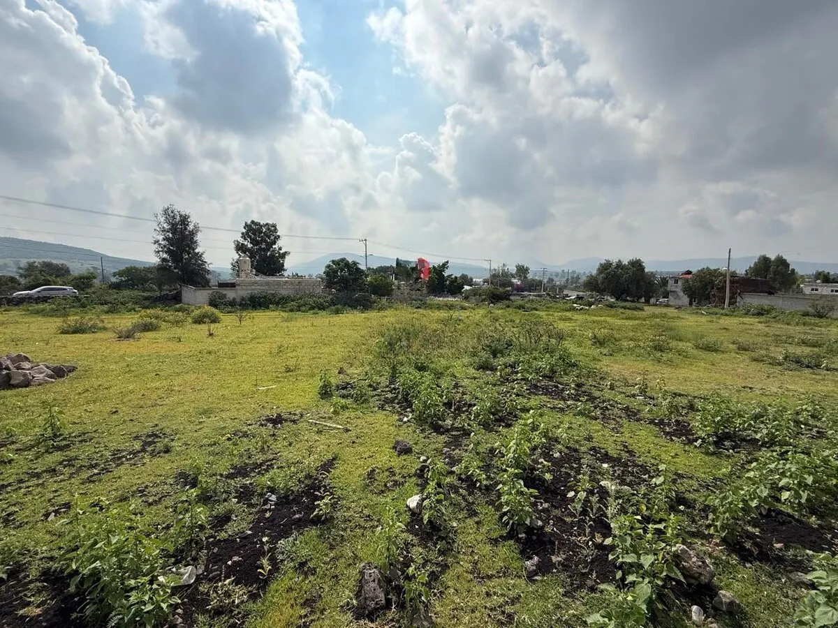 Terreno Spot2