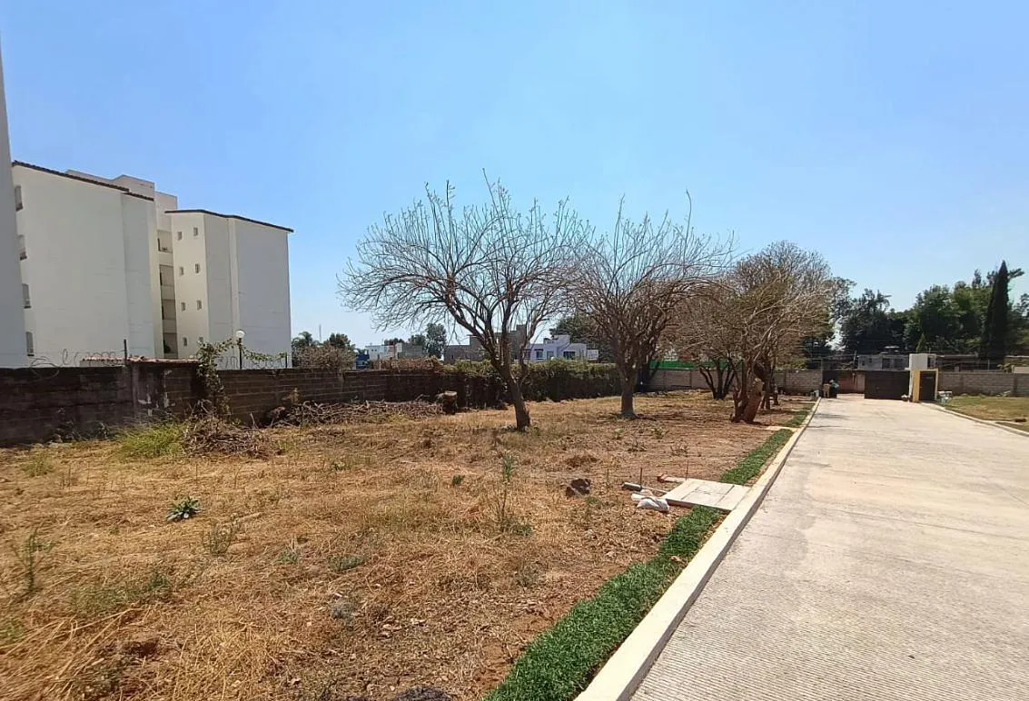 Terreno Spot2