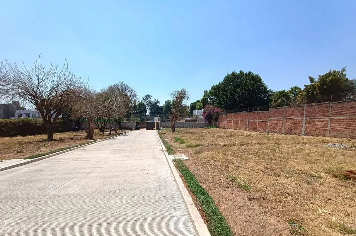 Terreno Spot2