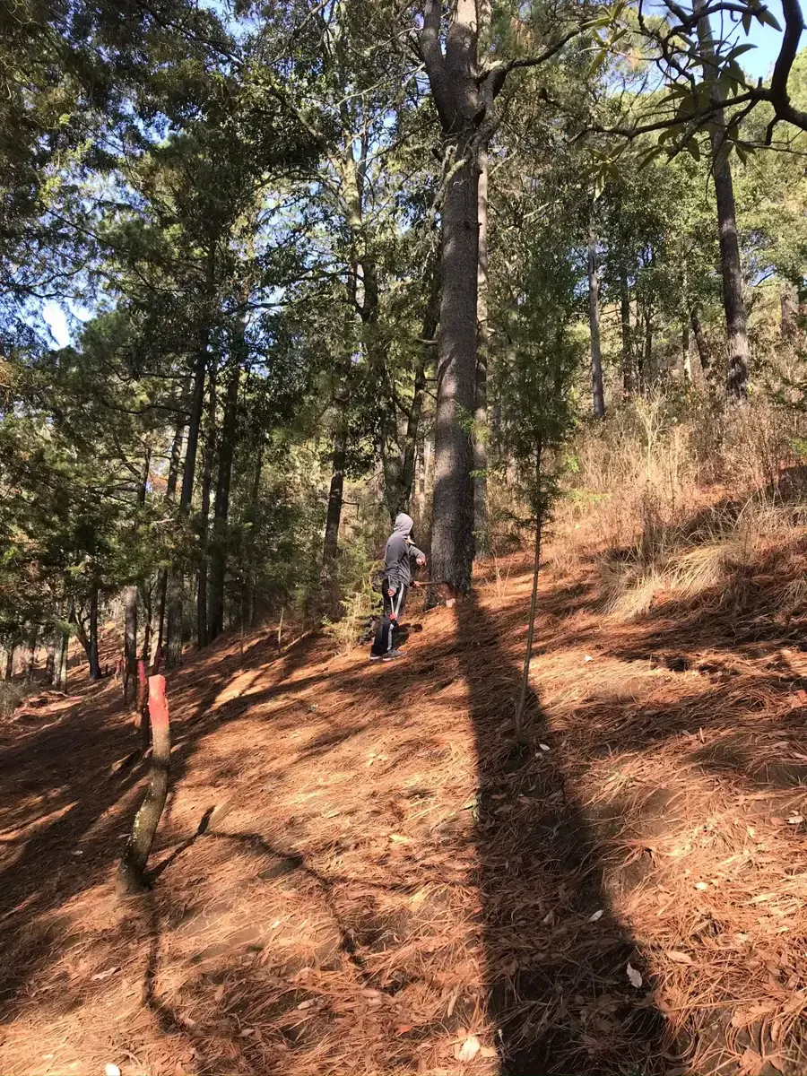 Terreno Spot2