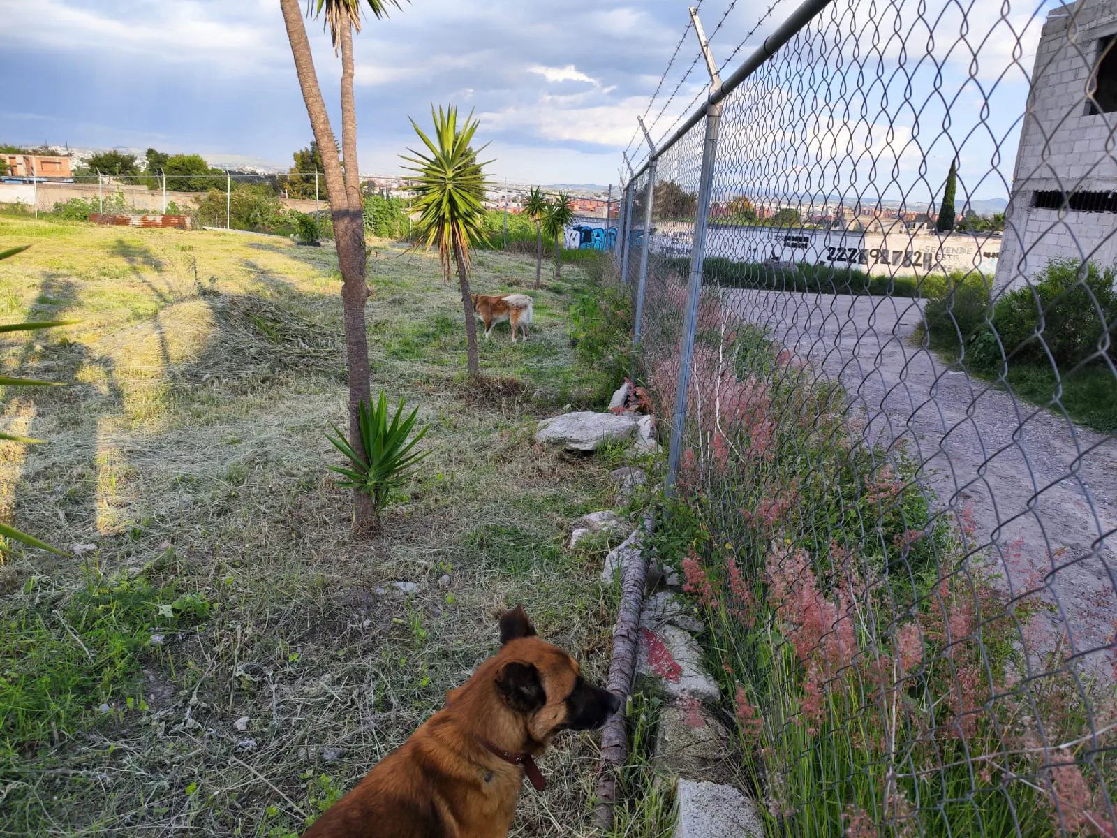 Terreno Spot2